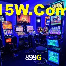 Premium Interface 899G